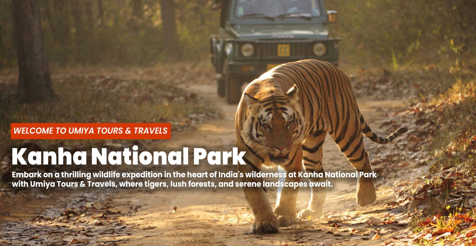 Kanha National Park - Wildlife Safari Tour