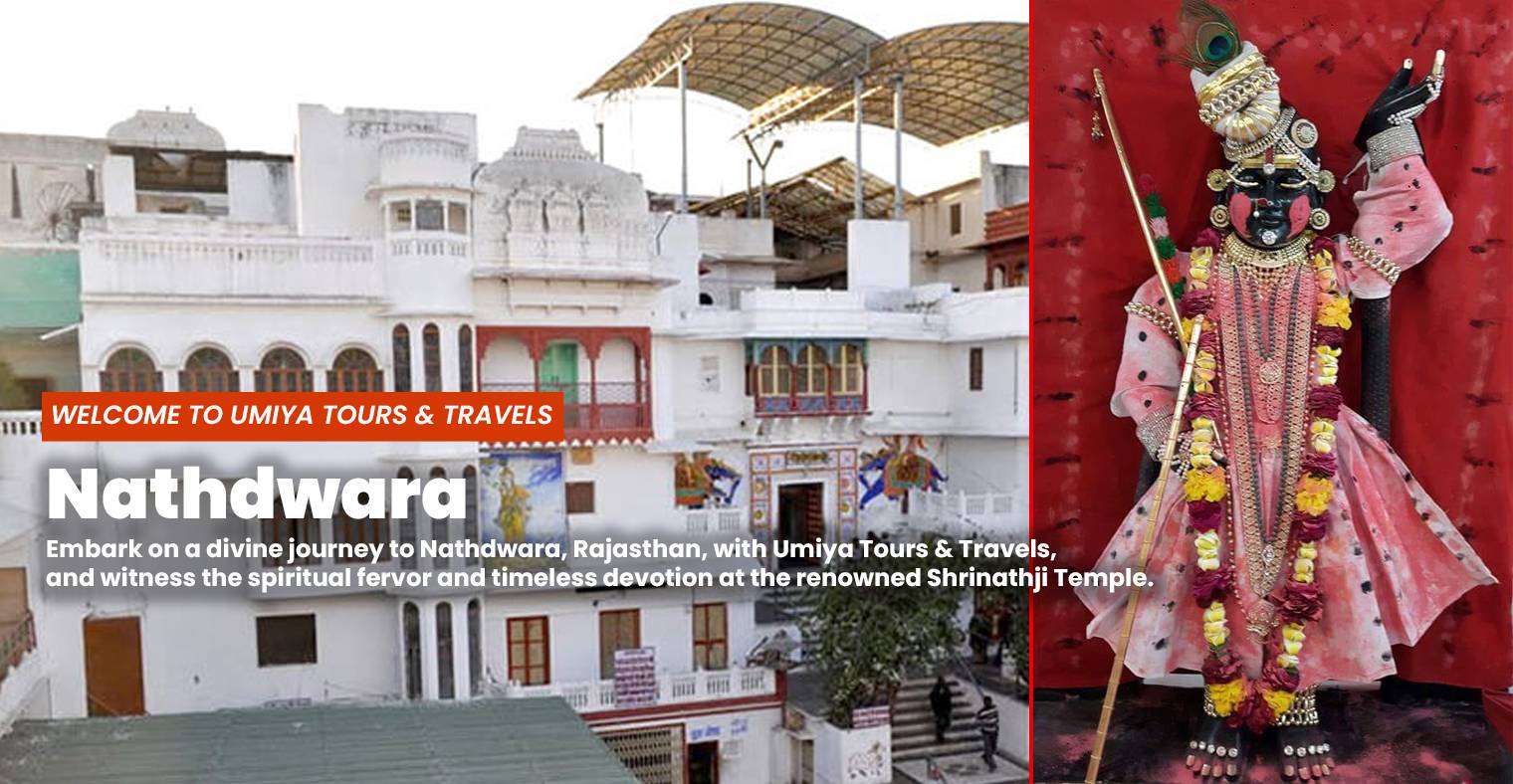 Nathdwara Temple - Shrinathji Darshan Tour